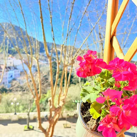 Mountview Retreat Villa *