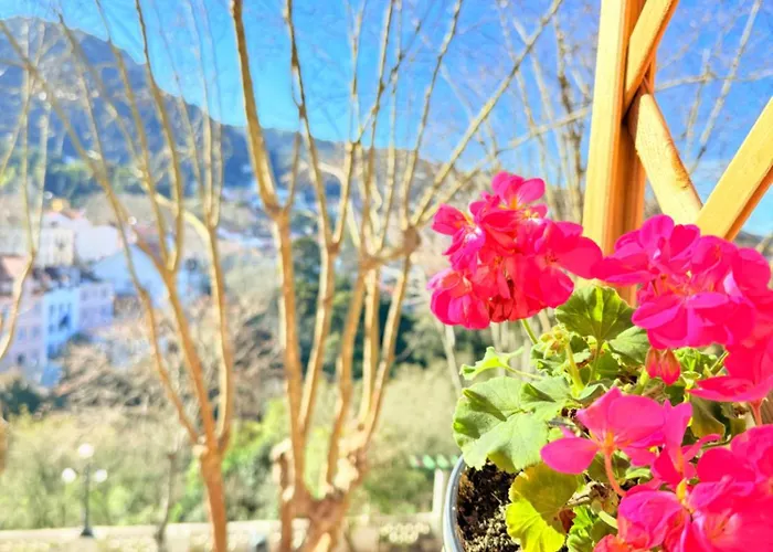 Mountview Retreat Willa *